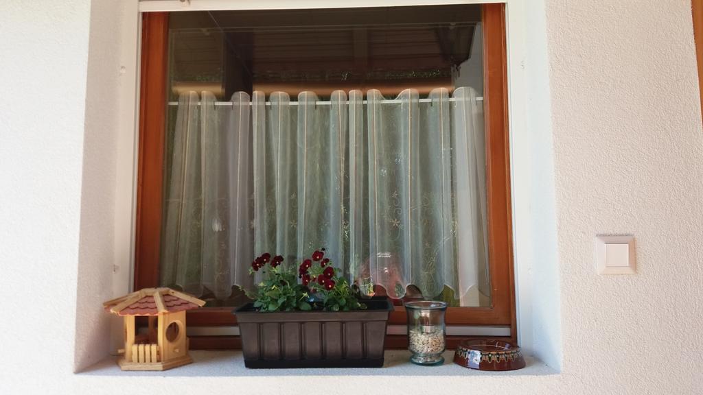 Pongracz Apartman Zirc Extérieur photo